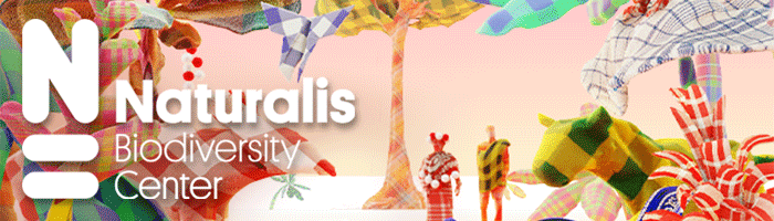 Het Bos van Suriname