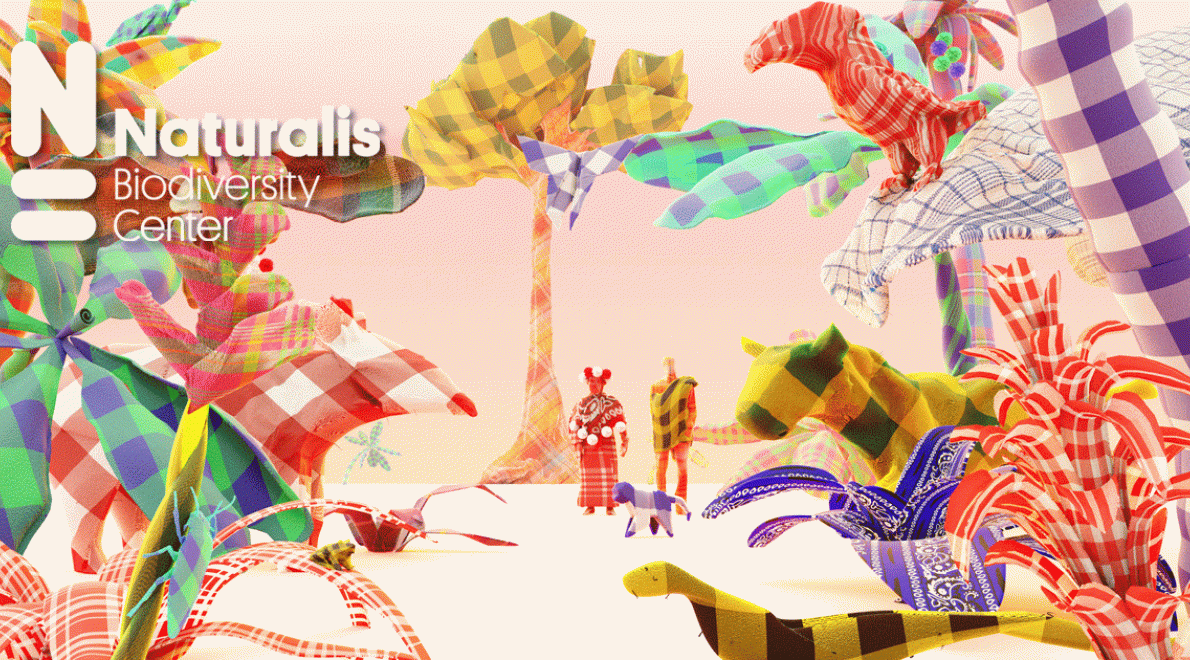 Facebook Feed Banner