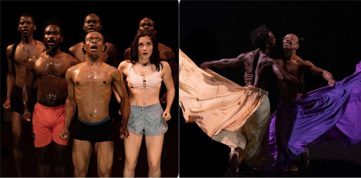 Hominideos (Kameroen / Frankrijk)