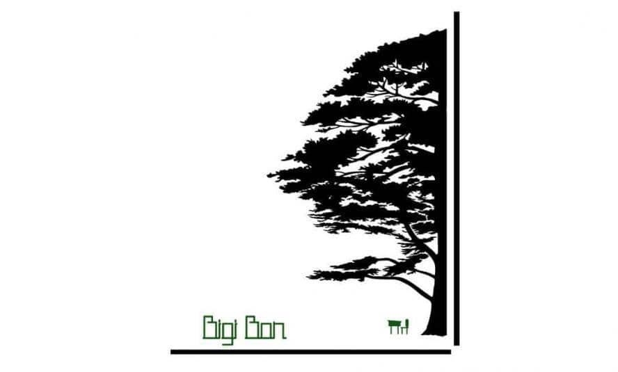 bigi bon logo