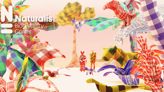 Facebook Feed Banner