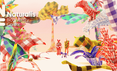 Facebook Feed Banner