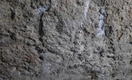 Poep. Braaksel. Urine